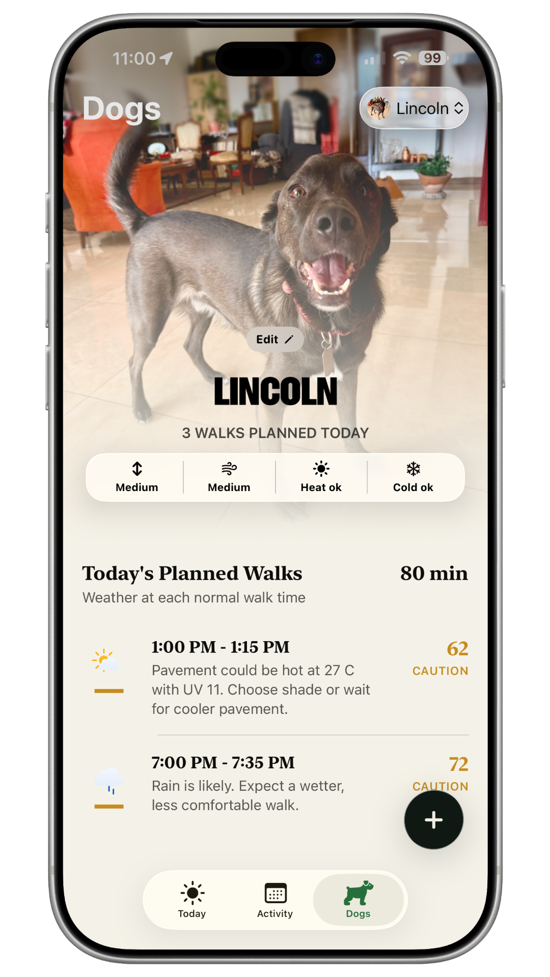 Zoomies dogs profile screenshot